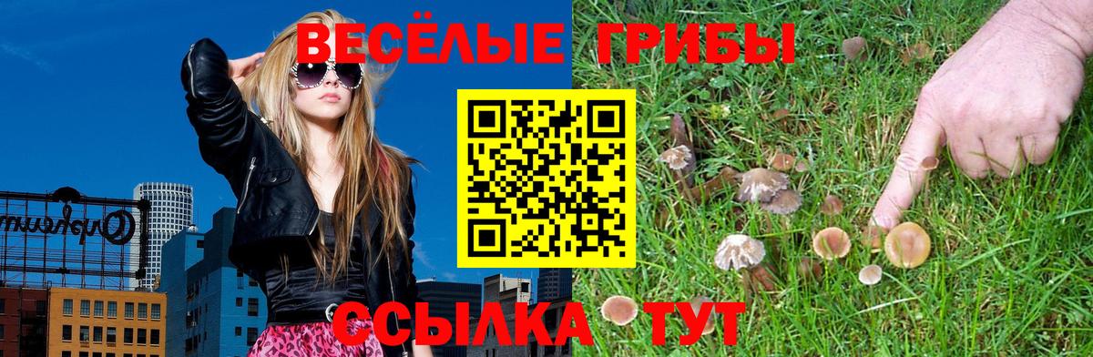 Галлюциногенные грибы MAGIC MUSHROOMS  Псилоцибиновые грибы GOLDEN TEACHER  Майский  Вход с VPN 
