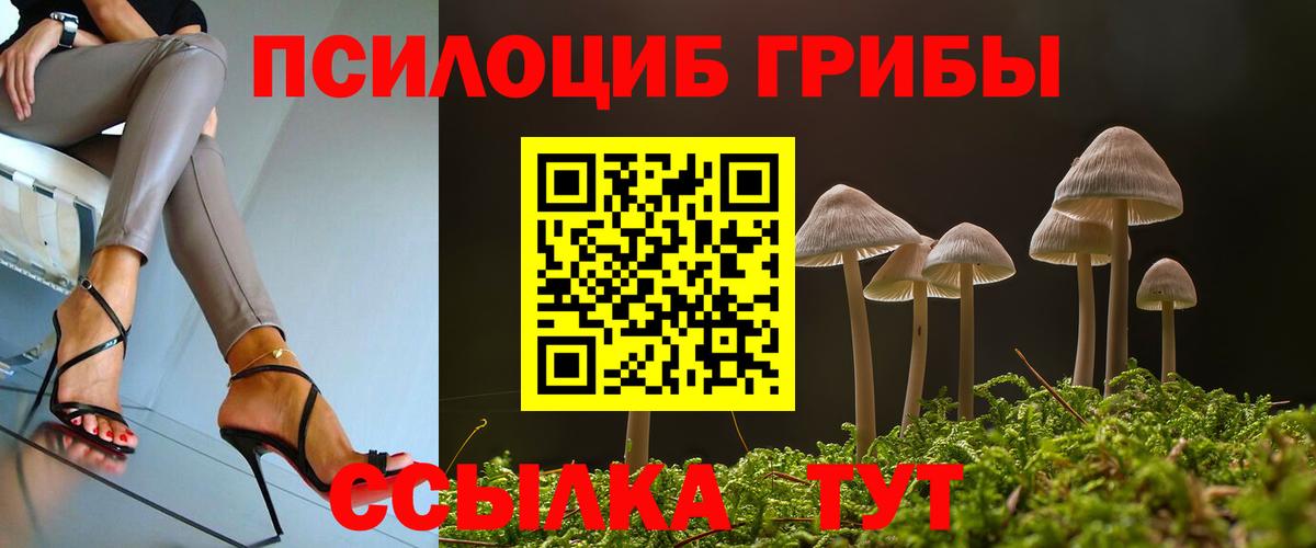 Псилоцибиновые грибы Cubensis Майский